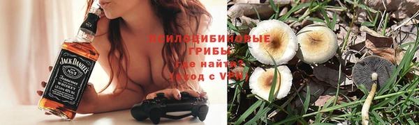 мдпв Арсеньев
