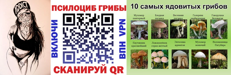 Галлюциногенные грибы GOLDEN TEACHER  Усинск 